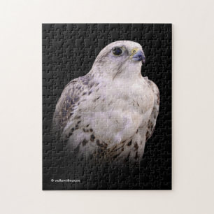 Vignetted Portret van een Inquisitive Saker Falcon Legpuzzel