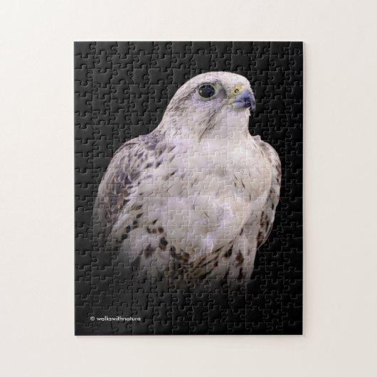 Vignetted Portret van een Inquisitive Saker Falcon Legpuzzel (Verticaal)