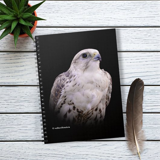 Vignetted Portret van een Inquisitive Saker Falcon Notitieboek