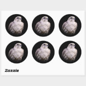 Vignetted Portret van een Inquisitive Saker Falcon Ronde Sticker (Vel)