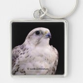 Vignetted Portret van een Inquisitive Saker Falcon Sleutelhanger (Voorkant)