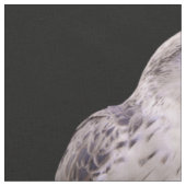 Vignetted Portret van een Inquisitive Saker Falcon Stof (Close Up)