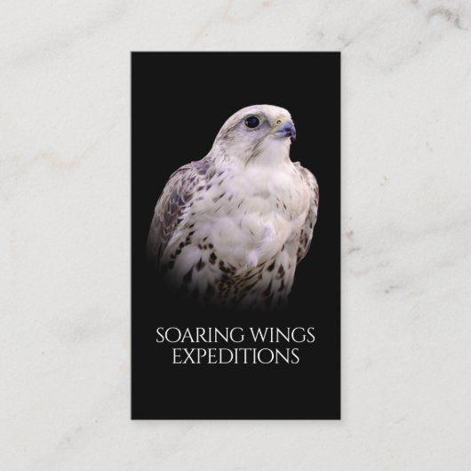 Vignetted Portret van een Inquisitive Saker Falcon Visitekaartje (Voorkant)