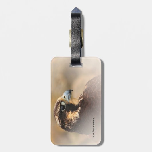 Vignetted Profile of a Peregrine Falcon Bagagelabel (Achterkant verticaal)