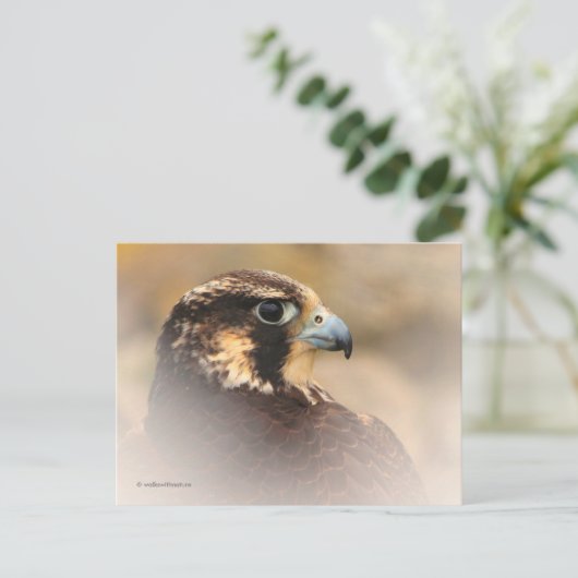 Vignetted Profile of a Peregrine Falcon Briefkaart (Staand voorkant)