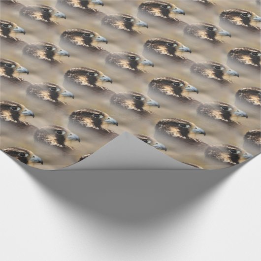 Vignetted Profile of a Peregrine Falcon Cadeaupapier (Hoek)