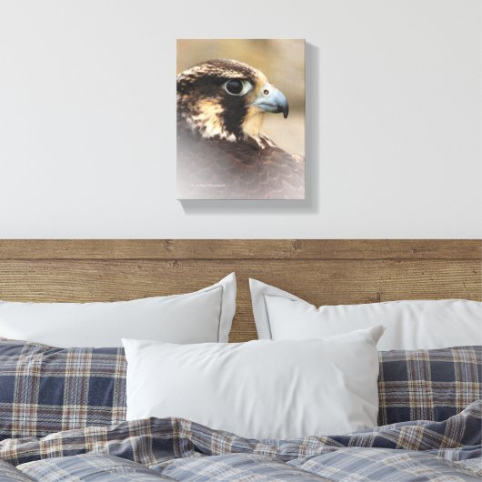 Vignetted Profile of a Peregrine Falcon Canvas Afdruk (Insitu (Slaapkamer))