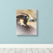 Vignetted Profile of a Peregrine Falcon Canvas Afdruk (Insitu (Houten vloer))