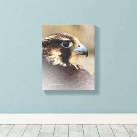 Vignetted Profile of a Peregrine Falcon Canvas Afdruk (Insitu (Houten vloer))