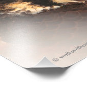 Vignetted Profile of a Peregrine Falcon Foto Afdruk (Hoek)