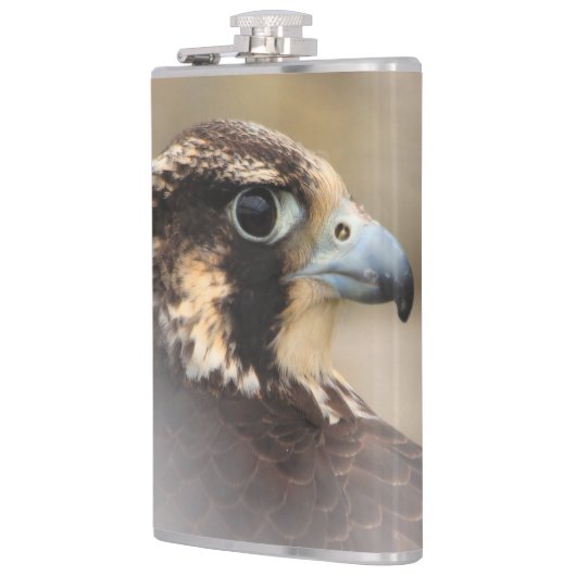 Vignetted Profile of a Peregrine Falcon Heupfles (Links)