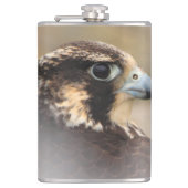 Vignetted Profile of a Peregrine Falcon Heupfles (Voorkant)