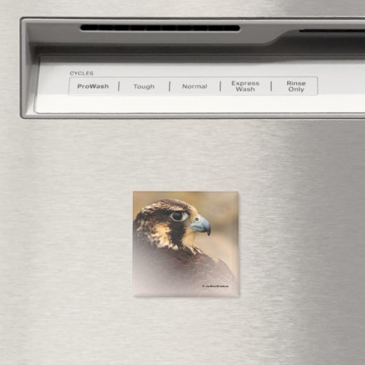 Vignetted Profile of a Peregrine Falcon Magneet (Insitu (Vaatwasser))