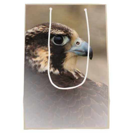 Vignetted Profile of a Peregrine Falcon Medium Cadeauzakje (Achterkant)