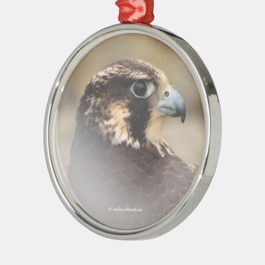 Vignetted Profile of a Peregrine Falcon Metalen Ornament (Links)