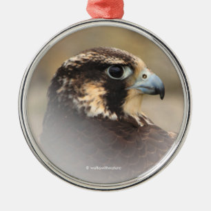 Vignetted Profile of a Peregrine Falcon Metalen Ornament