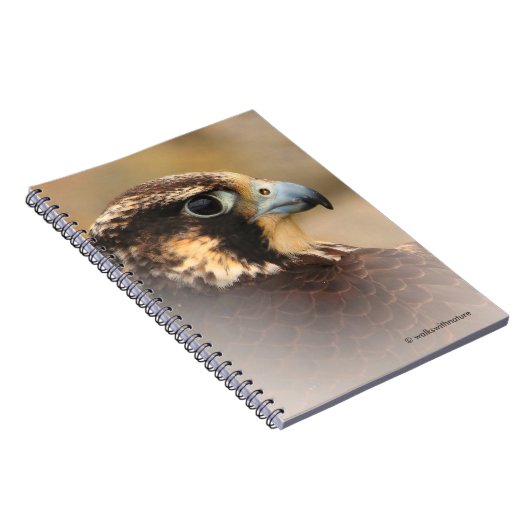 Vignetted Profile of a Peregrine Falcon Notitieboek (Rechterzijde)