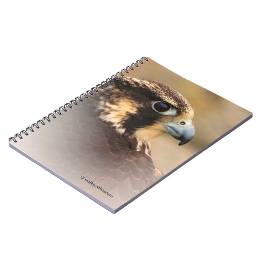 Vignetted Profile of a Peregrine Falcon Notitieboek (Linkerzijde)