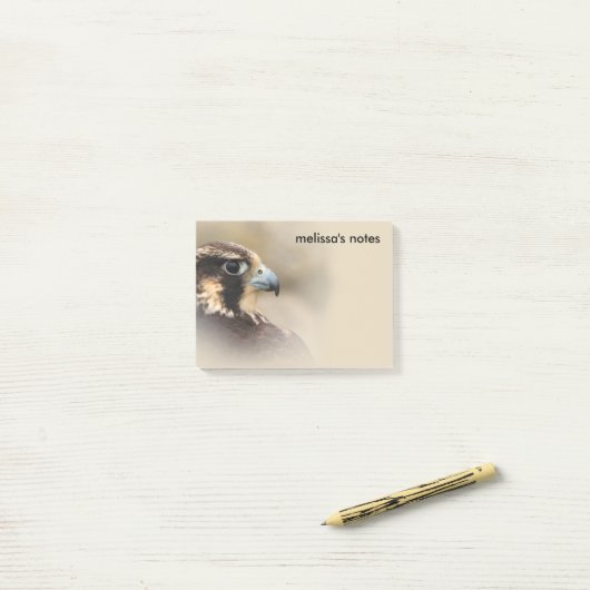 Vignetted Profile of a Peregrine Falcon Post-it® Notes (Op bureau)
