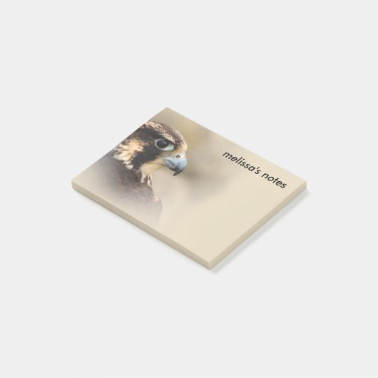 Vignetted Profile of a Peregrine Falcon Post-it® Notes (Schuin)