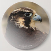 Vignetted Profile of a Peregrine Falcon Ronde Button 6,0 Cm (Voorkant)