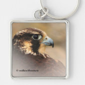Vignetted Profile of a Peregrine Falcon Sleutelhanger (Voorkant)
