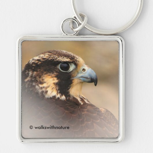 Vignetted Profile of a Peregrine Falcon Sleutelhanger (Voorkant)