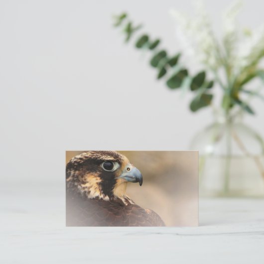 Vignetted Profile of a Peregrine Falcon Visitekaartje (Staand voorkant)
