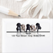 Vijf Black en Tan Cocker Spaniel Puppies Etiket (Insitu)