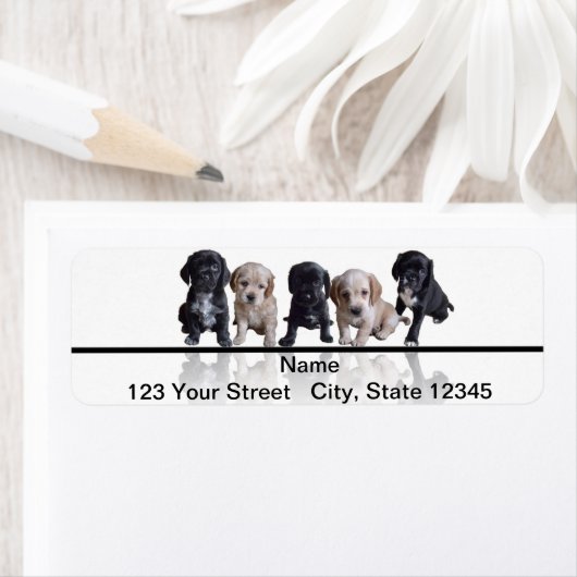 Vijf Black en Tan Cocker Spaniel Puppies Etiket (Insitu)