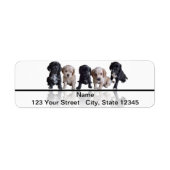 Vijf Black en Tan Cocker Spaniel Puppies Etiket (Voorkant)