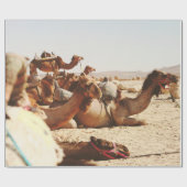 VIJF CAMELS OP VELD CADEAUPAPIER (Vlak)