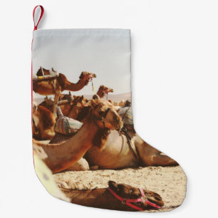 VIJF CAMELS OP VELD KLEINE KERSTSOK