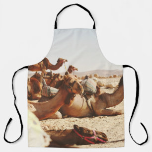 VIJF CAMELS OP VELD SCHORT