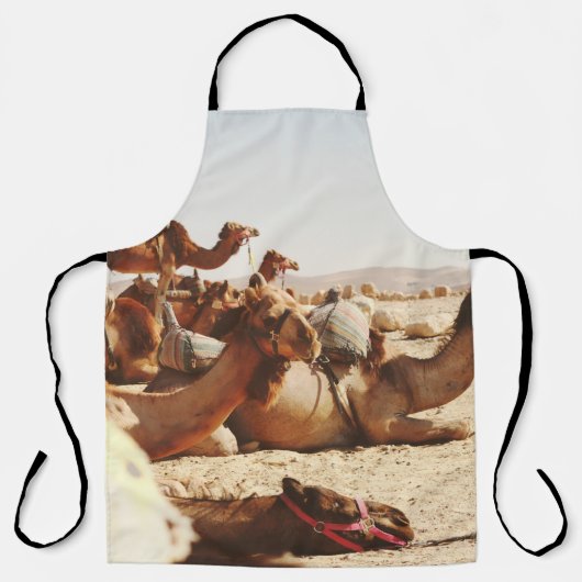 VIJF CAMELS OP VELD SCHORT (Voorkant)