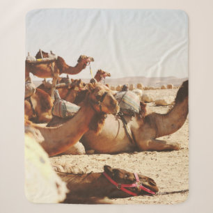 VIJF CAMELS OP VELD SHERPA DEKEN