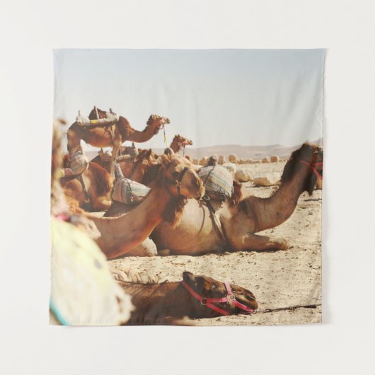 VIJF CAMELS OP VELD WANDKLEED (Voorkant)