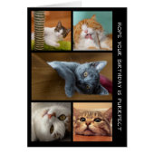 Vijf CAT-foto van Birthday Collage Birthday Kaart (Voorkant)