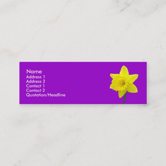 Vijf Daffodils Mini Visitekaartje (Voorkant)
