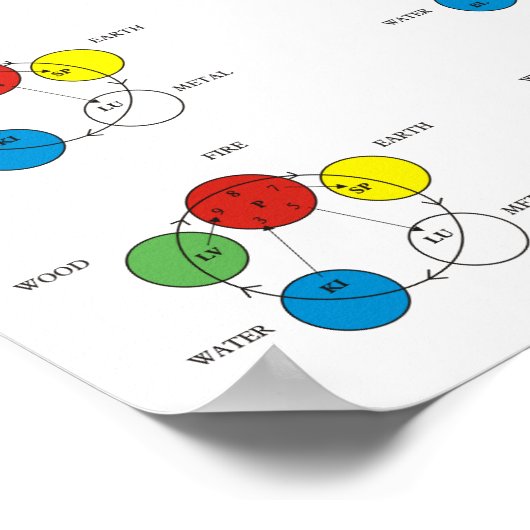 Vijf elementen Acupunctie-Poster Poster (Hoek)