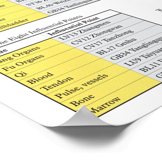 Vijf elementen Acupunctie-Poster Poster (Hoek)