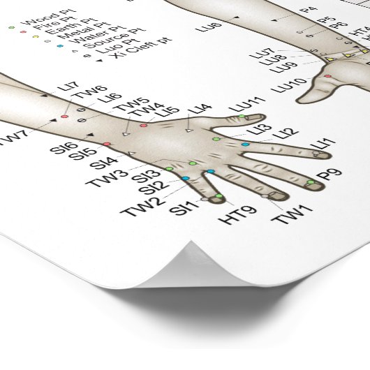 Vijf elementen van het Poster van de Acupunctuur P (Hoek)