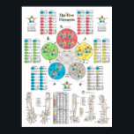 Vijf elementen van het Poster van de Acupunctuur P<br><div class="desc">De vijf elementen theorie van acupunctuur poster. Het wanddiagram vermeldt de elementenpunten (Vuur, Aarde, Metaal, Water en Hout). Alle kleuren die voor elk van de meridianen worden gecoördineerd. De achterste punten Shu, Front Mu, Bron, Luo, Xi Cleft, Ingang, Uitgang en Horary zijn vermeld in groot type voor elke meridiaan. De...</div>