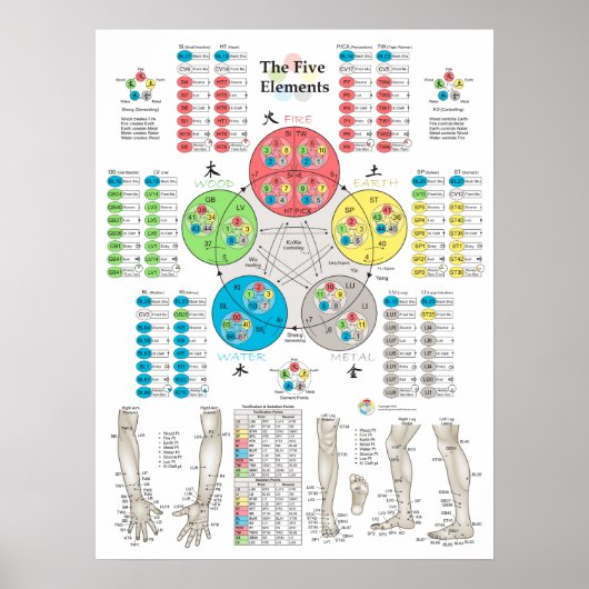 Vijf elementen van het Poster van de Acupunctuur P (Voorkant)