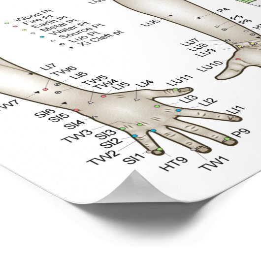 Vijf elementen van het Poster van de Acupunctuur P (Hoek)