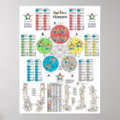Vijf elementen van het Poster van de Acupunctuur P (Voorkant)