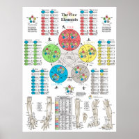 Vijf elementen van het Poster van de Acupunctuur P