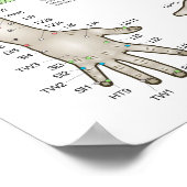 Vijf elementen van het Poster van de Acupunctuur P (Hoek)