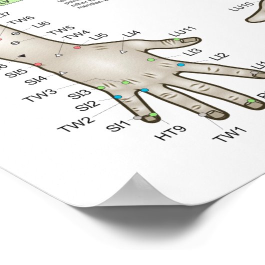 Vijf elementen van het Poster van de Acupunctuur P (Hoek)