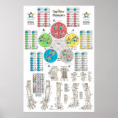 Vijf elementen van het Poster van de Acupunctuur P (Voorkant)